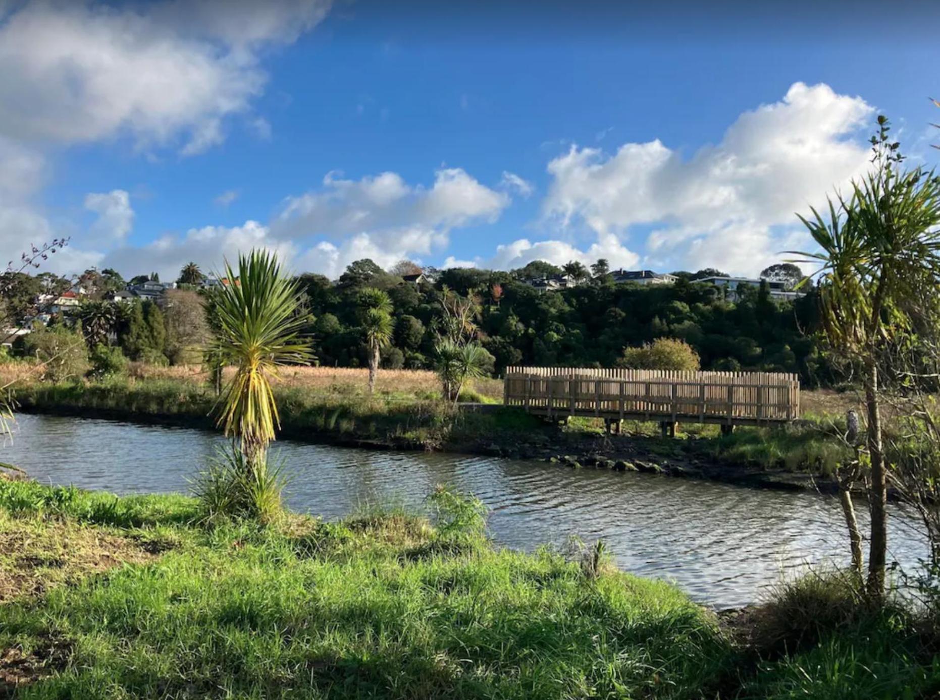 Remuera Spacious Holiday Home 奥克兰 外观 照片