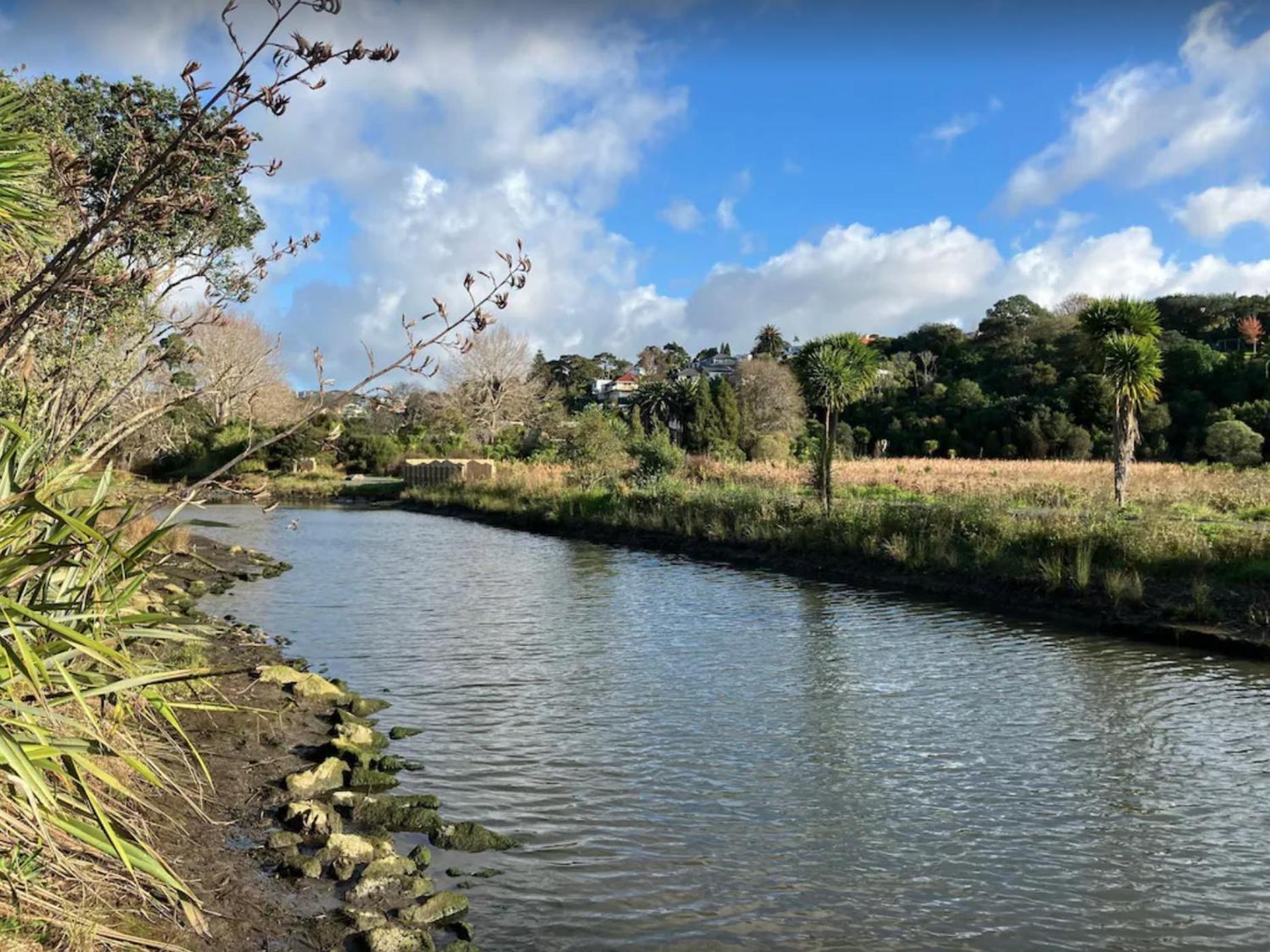 Remuera Spacious Holiday Home 奥克兰 外观 照片